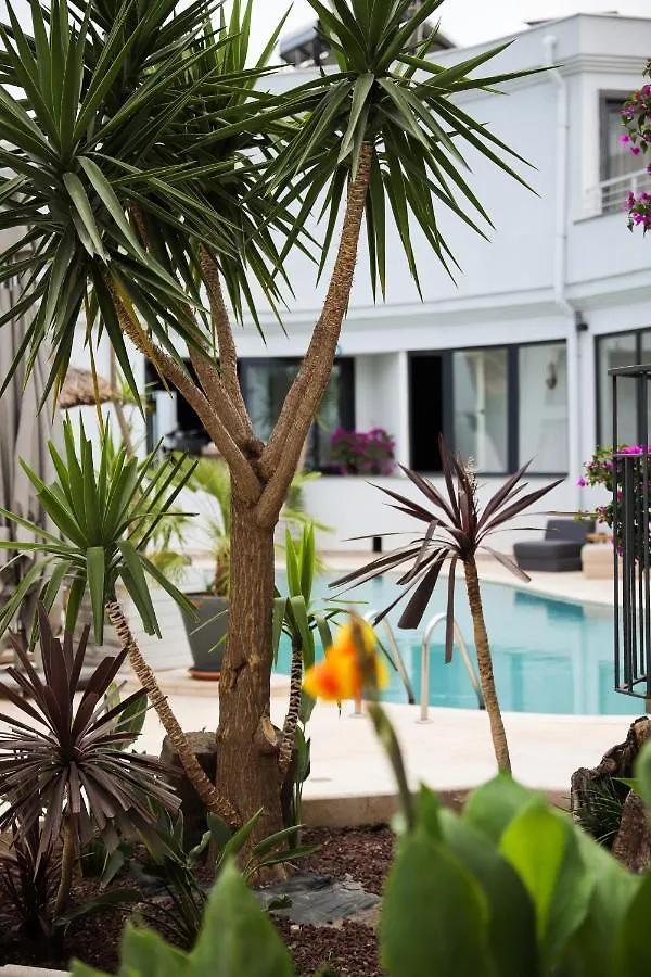 Elista Hotel&Spa Golturkbuku Turecko