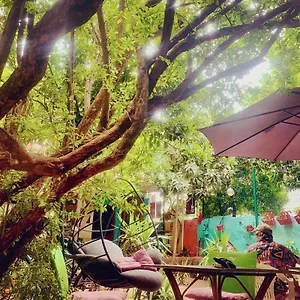 https://hostel-vague.allantalyahotels.org